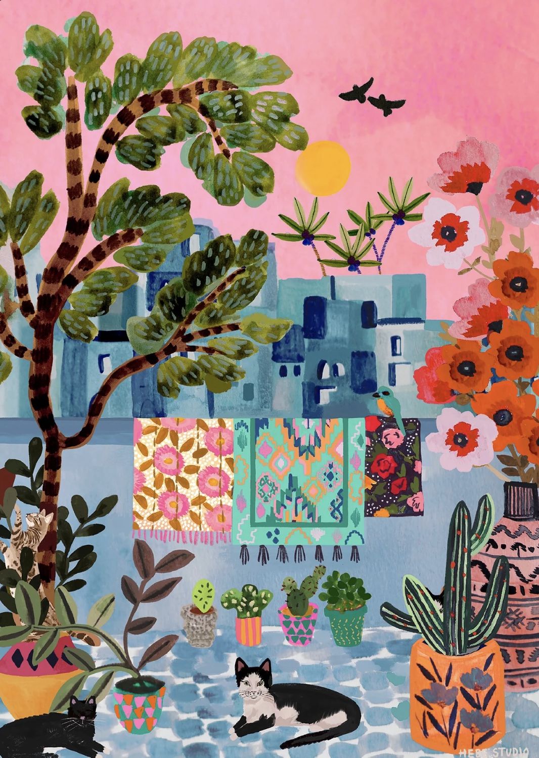 Chefchaouen Cats, Morocco