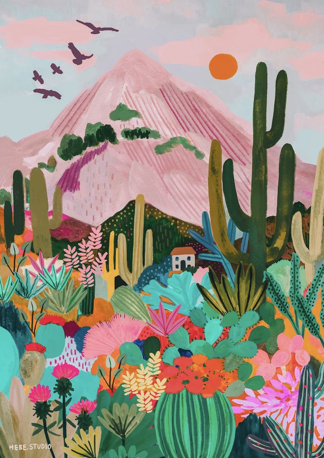 Cactus Mountain, Arizona