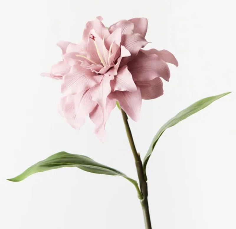 Roselily in Dusty Pink