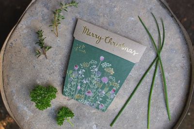 Gift of Seeds - Christmas Herbs