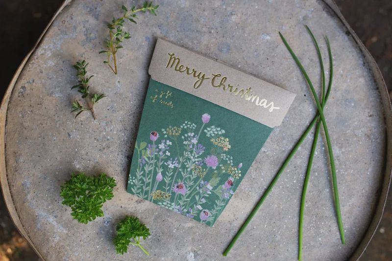 Gift of Seeds - Christmas Herbs