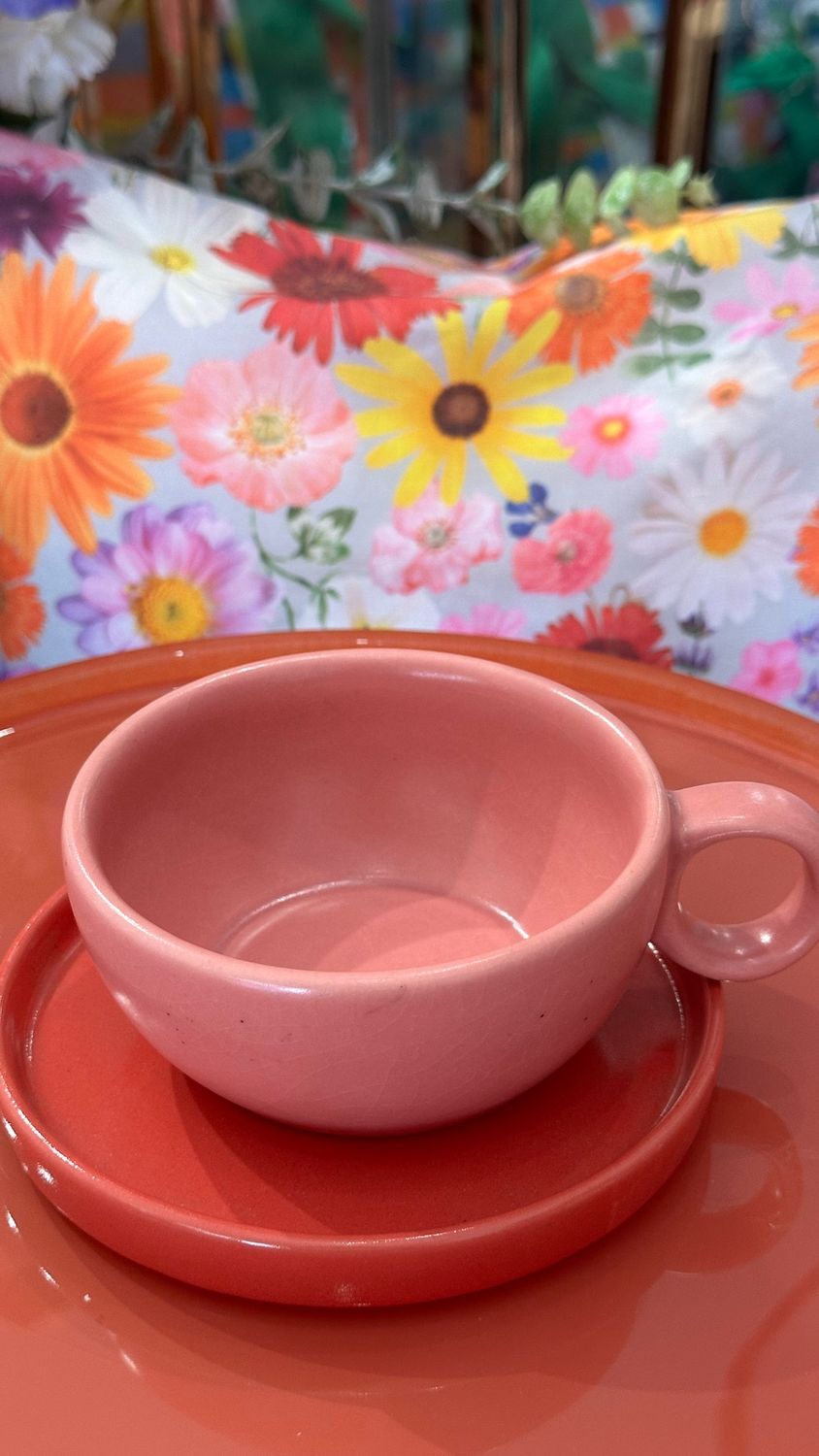 Teacup &amp; Saucer - Pink &amp; Red