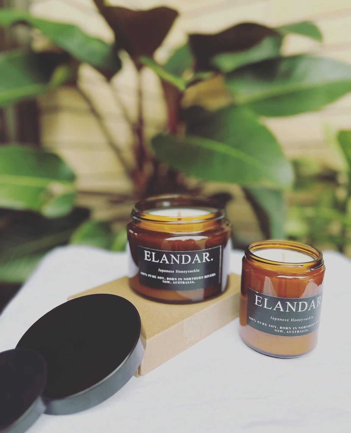 Honeysuckle Candle by Elandar