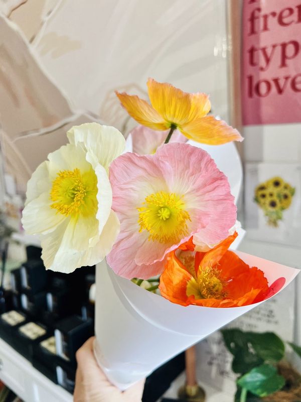 Poppy Bunch