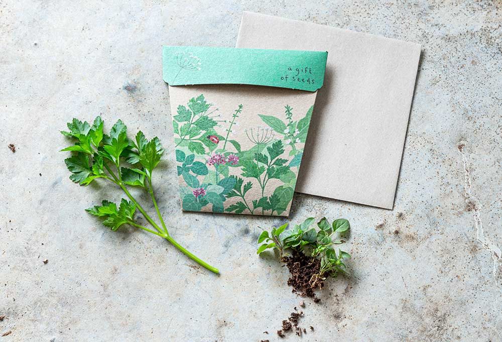 Gift of Seeds - Garden Herbs