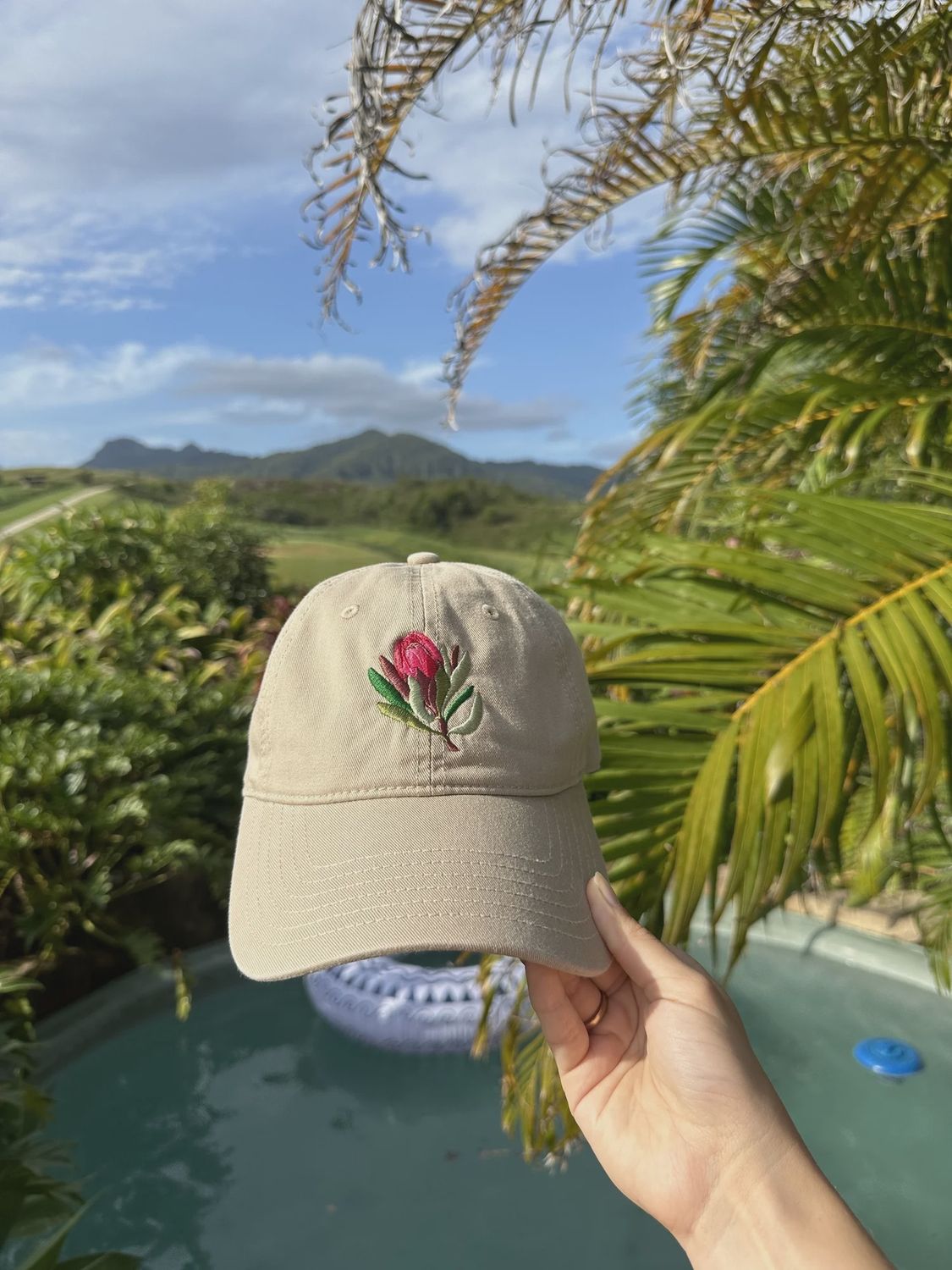 The Protea Cap