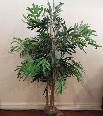 4ft bamboo plant