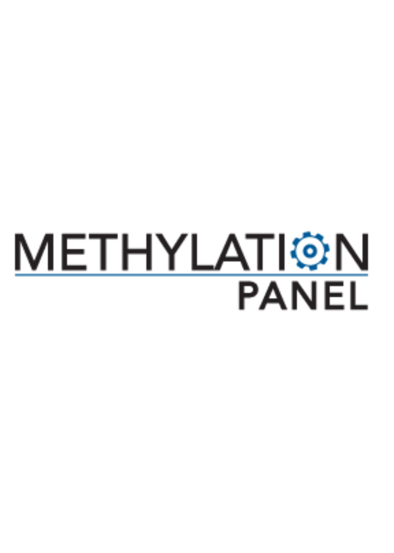 Genova Methylation Panel