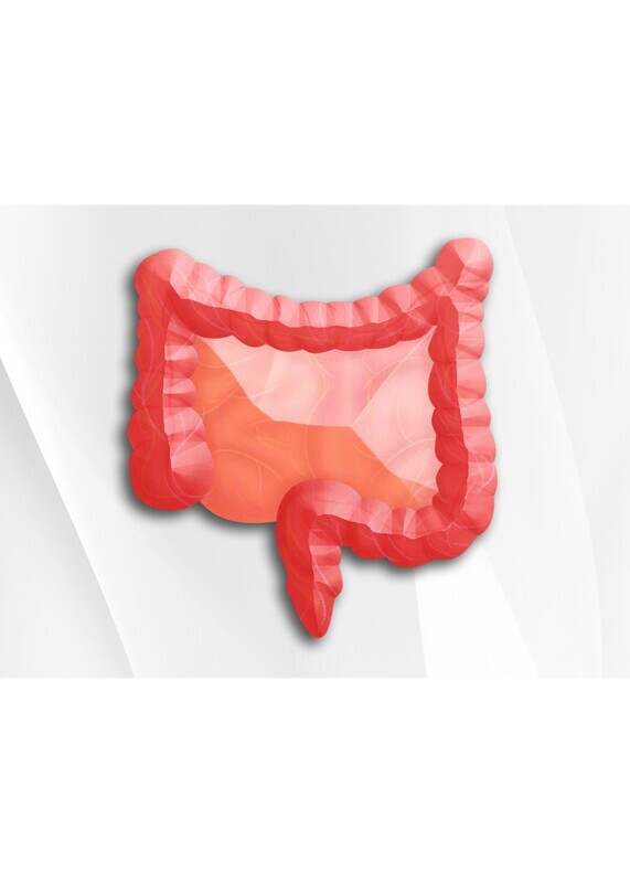 Vibrant Wellness - Candida + IBS Profile
