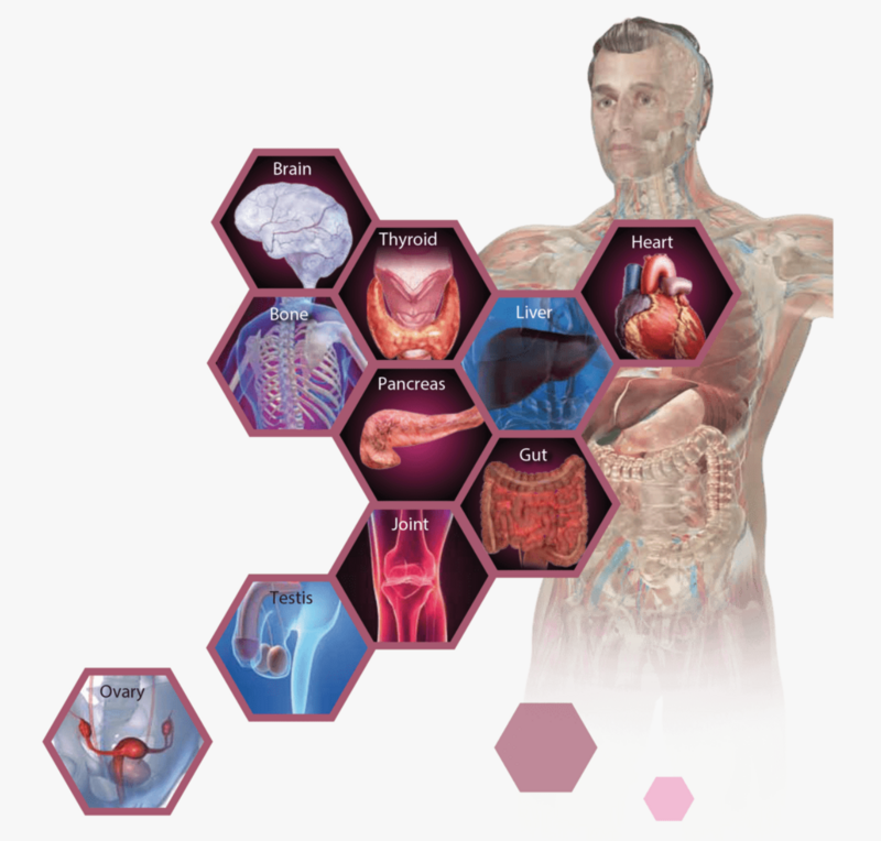 Cyrex Array 5 - Multiple Autoimmune Reactivity Screen Cyrex Array 5 - Multiple Autoimmune Reactivity Screen