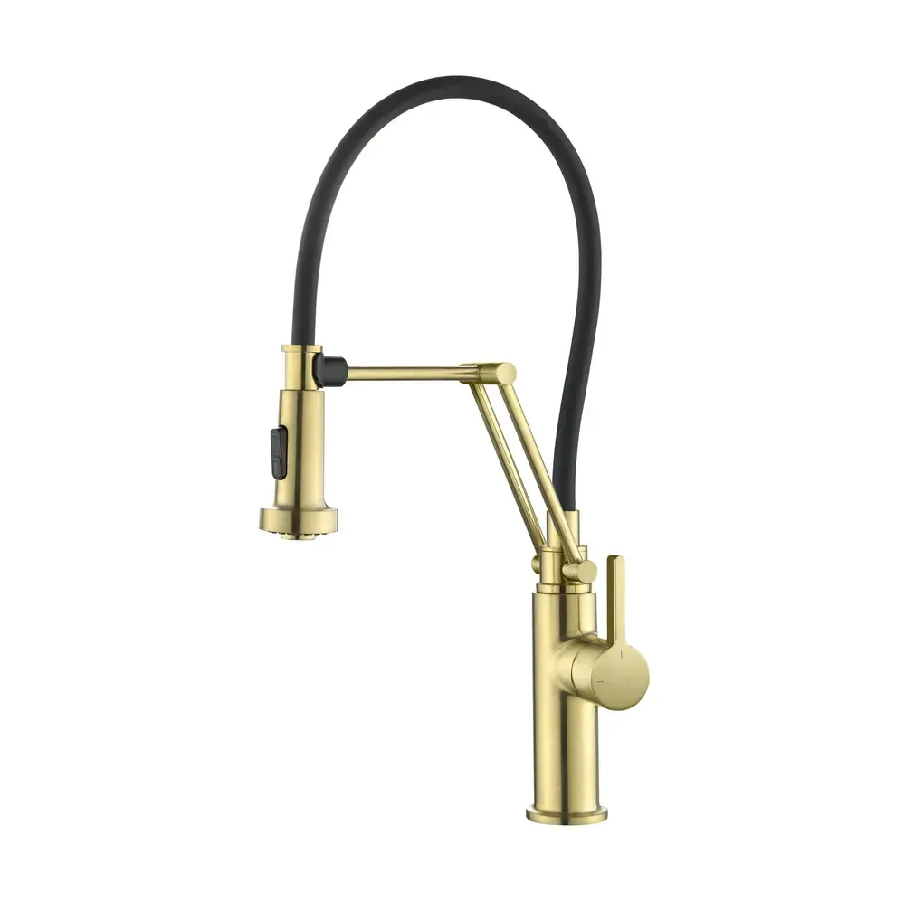 Casa Vista Single Handle Pull Down Kitchen Faucet Brushed Gold - CKF-2014BG