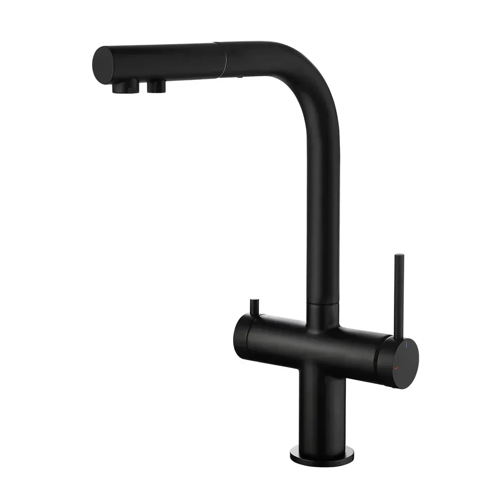 Casa Halo 2-in-1 Pull Out Kitchen Filtration Faucet Matte Black - CFF-502MB