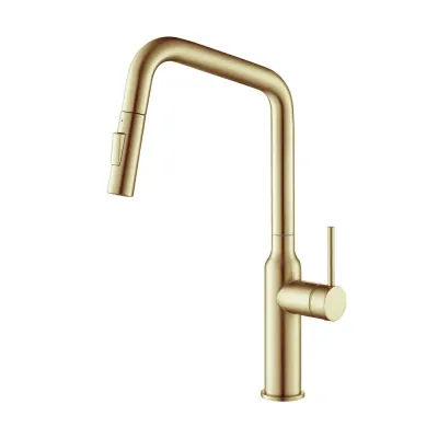 Tampa Single Handle Pull Down Kitchen Sink Faucet Brushed Gold - KBCKF-2007BG