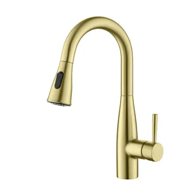 Plano Single Handle Pull Down Kitchen & Bar Sink Faucet Brushed Gold - KBCKF-2015BG