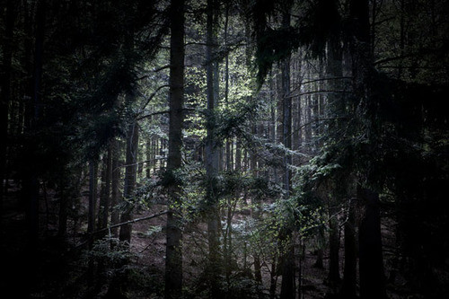 © Arnaud Meyer - Vosges9