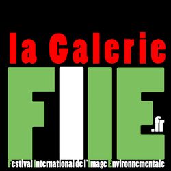 La galerie du Festival