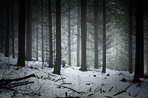 © Arnaud Meyer - Vosges6