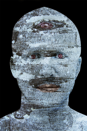 © Philippe Assalit - Hêtre