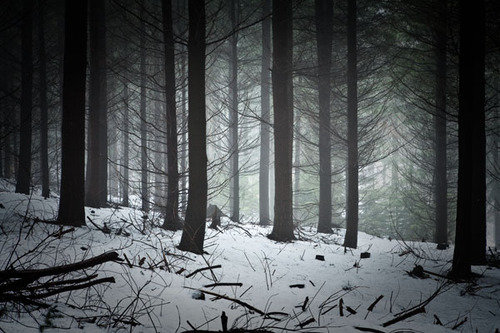 © Arnaud Meyer - Vosges6