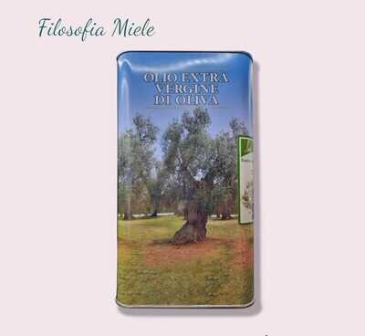 Olio extra vergine di Oliva biologico (1lt)