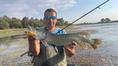 Георги Балчев с поредната си добра щука