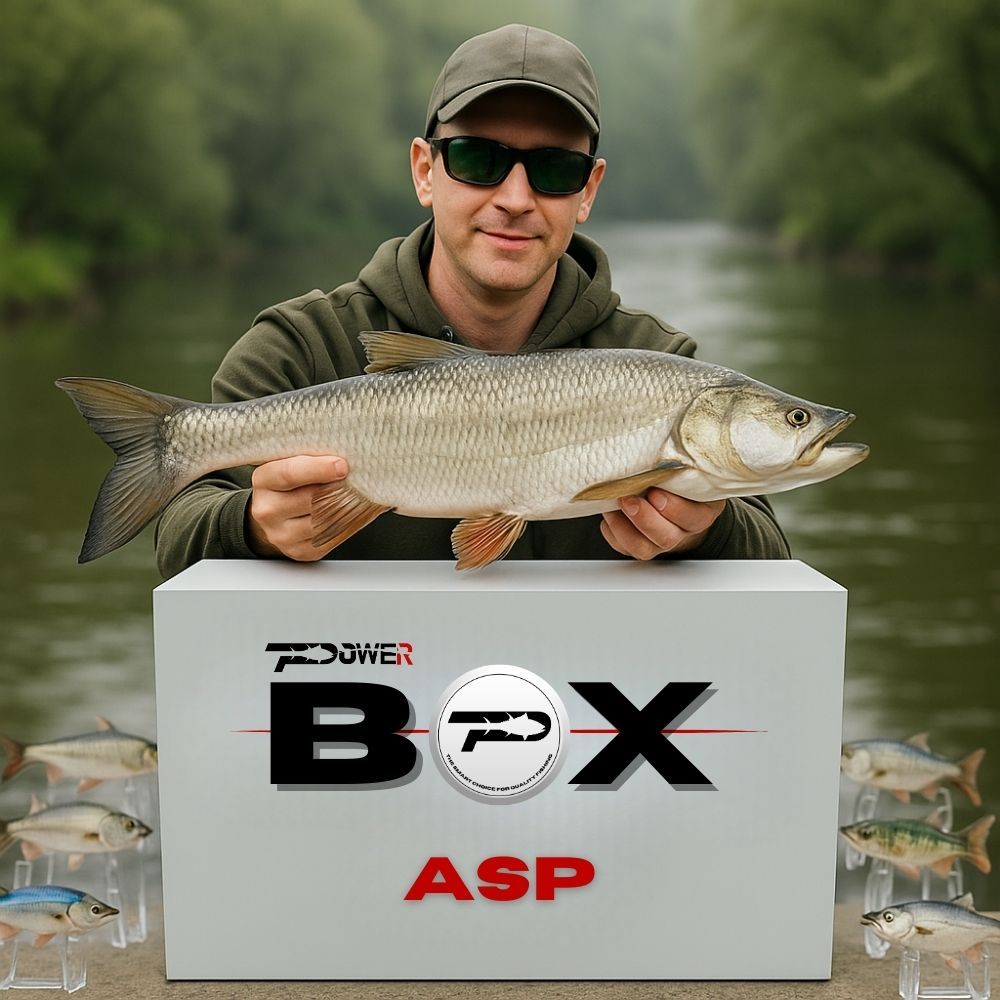 ASP POWER BOX ( за распер )