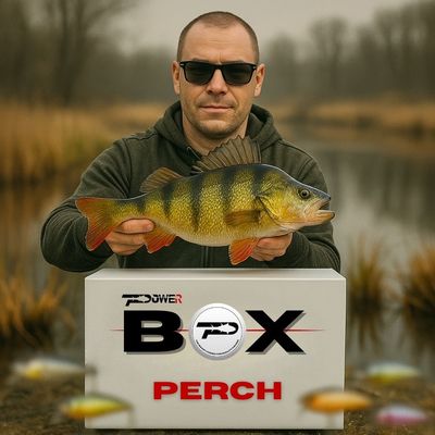 PERCH POWER BOX ( за костур)