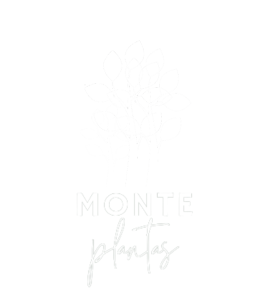MONTE plantas