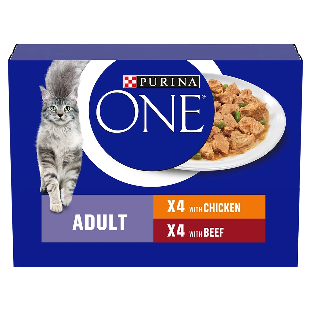 Purina Cat Food