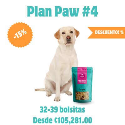 Plan Paw #4