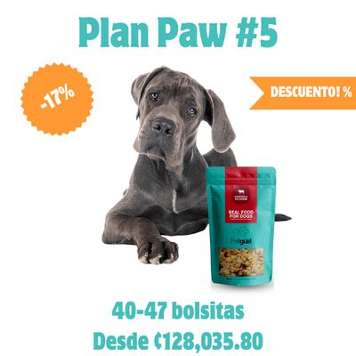 Plan Paw #5