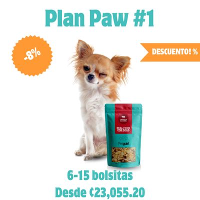 Plan Paw #1
