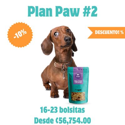 Plan Paw #2