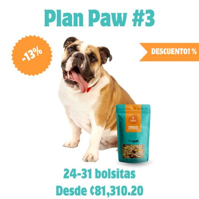 Plan Paw #3