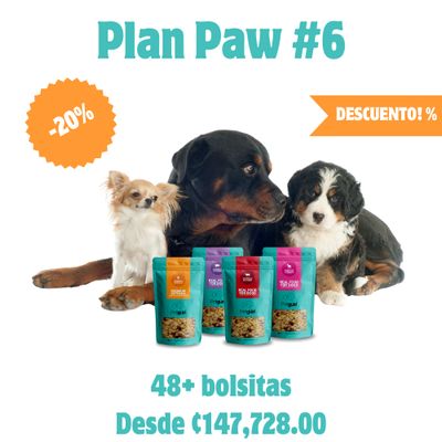 Plan Paw #6