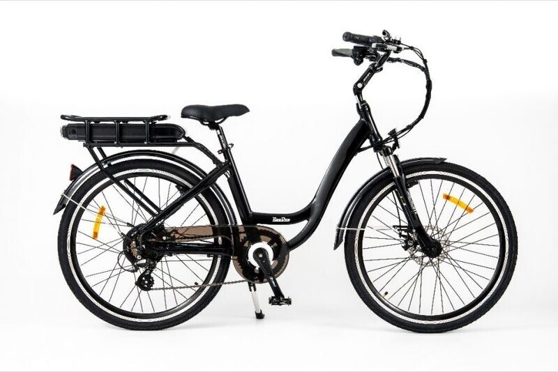 RooDog Chic Small Frame E-Bike