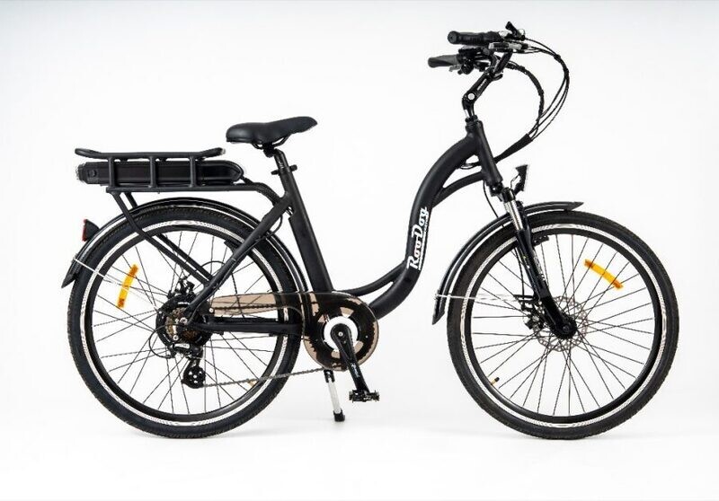 RooDog Chic Grande E-Bike