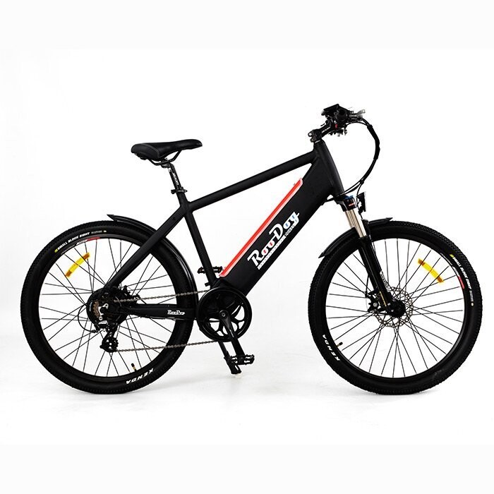 RooDog Avator E-Bike