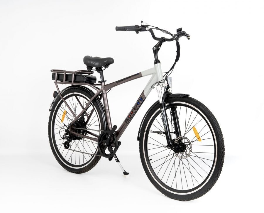 RooDog Tourer E-bike