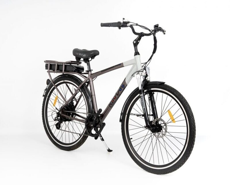 RooDog Tourer E-bike