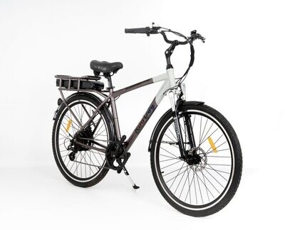 RooDog Tourer E-bike