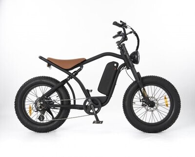 RooDog Rogue E-Bike (Fat Tyres)