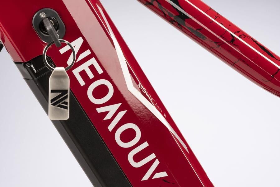 Juicy NeoMouv MOUNTAIN 2, Colour: Wine (Burgundy)