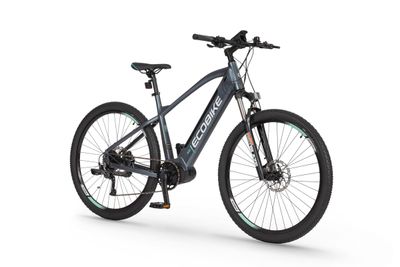 Ecobike SX300