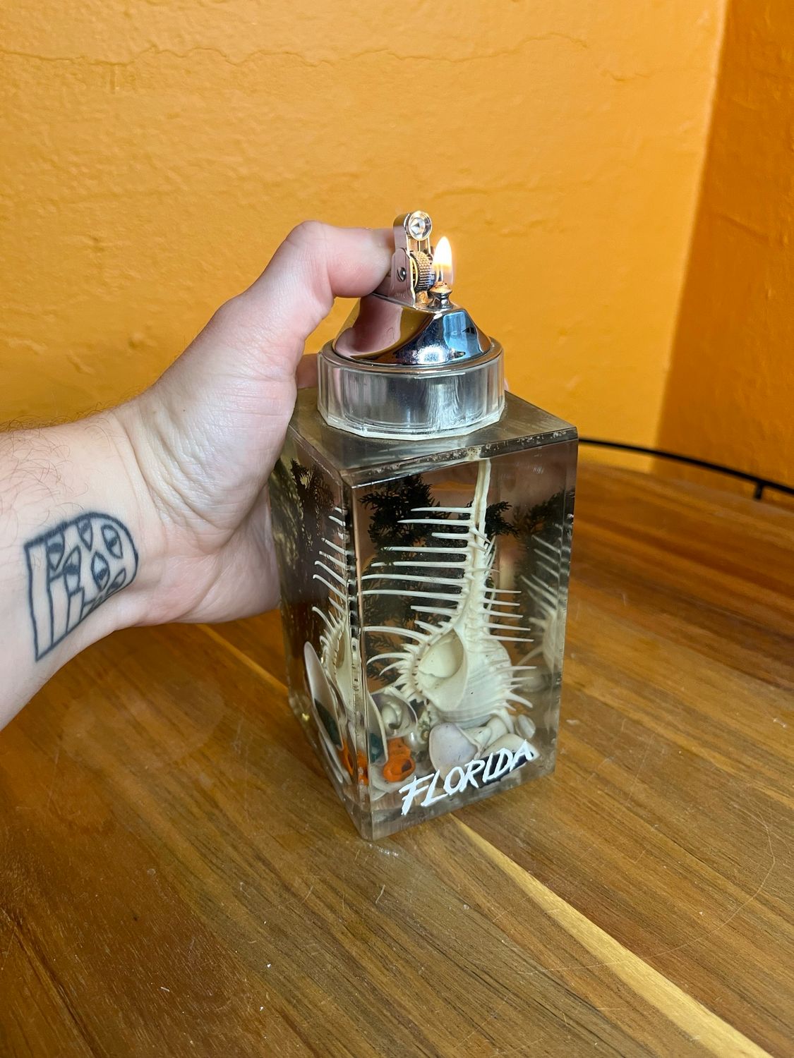 Florida Souvenir Shells Table Lighter