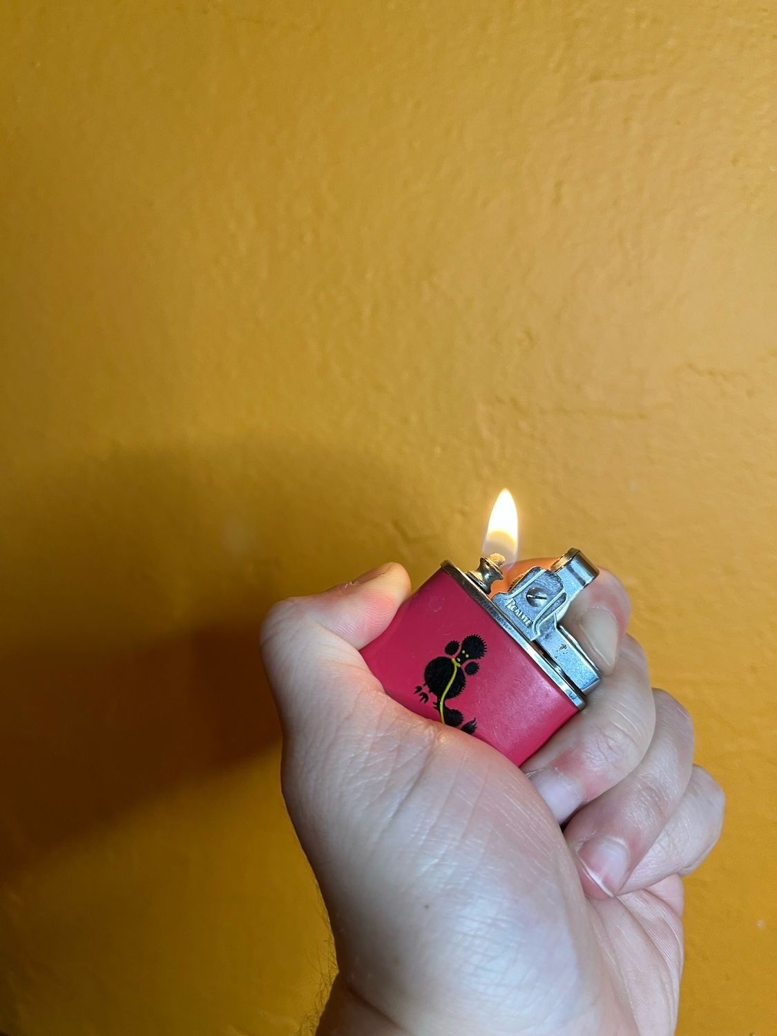 Black Poodle Pink Realite Lighter