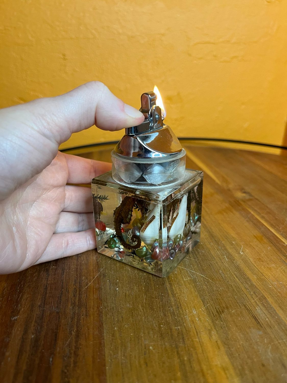 Florida Souvenir Sea Shells Diarama Table Lighter