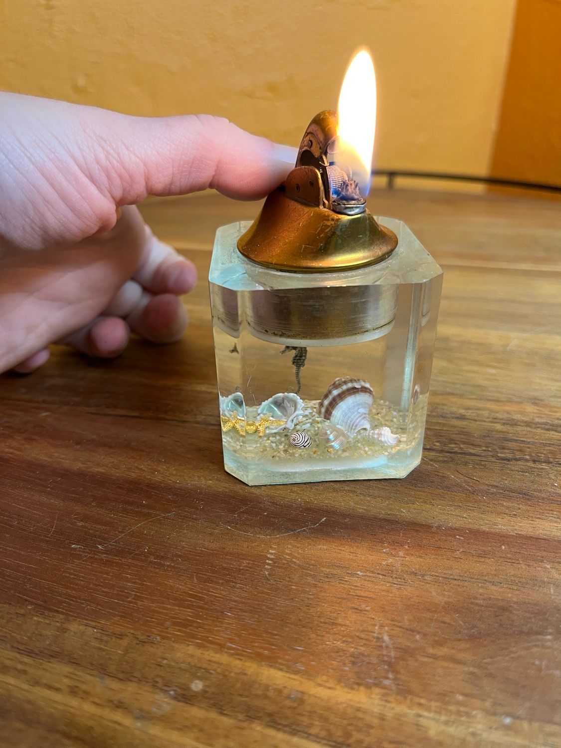 Baby Seahorse Sea Shell Diarama Lucite Table Lighter
