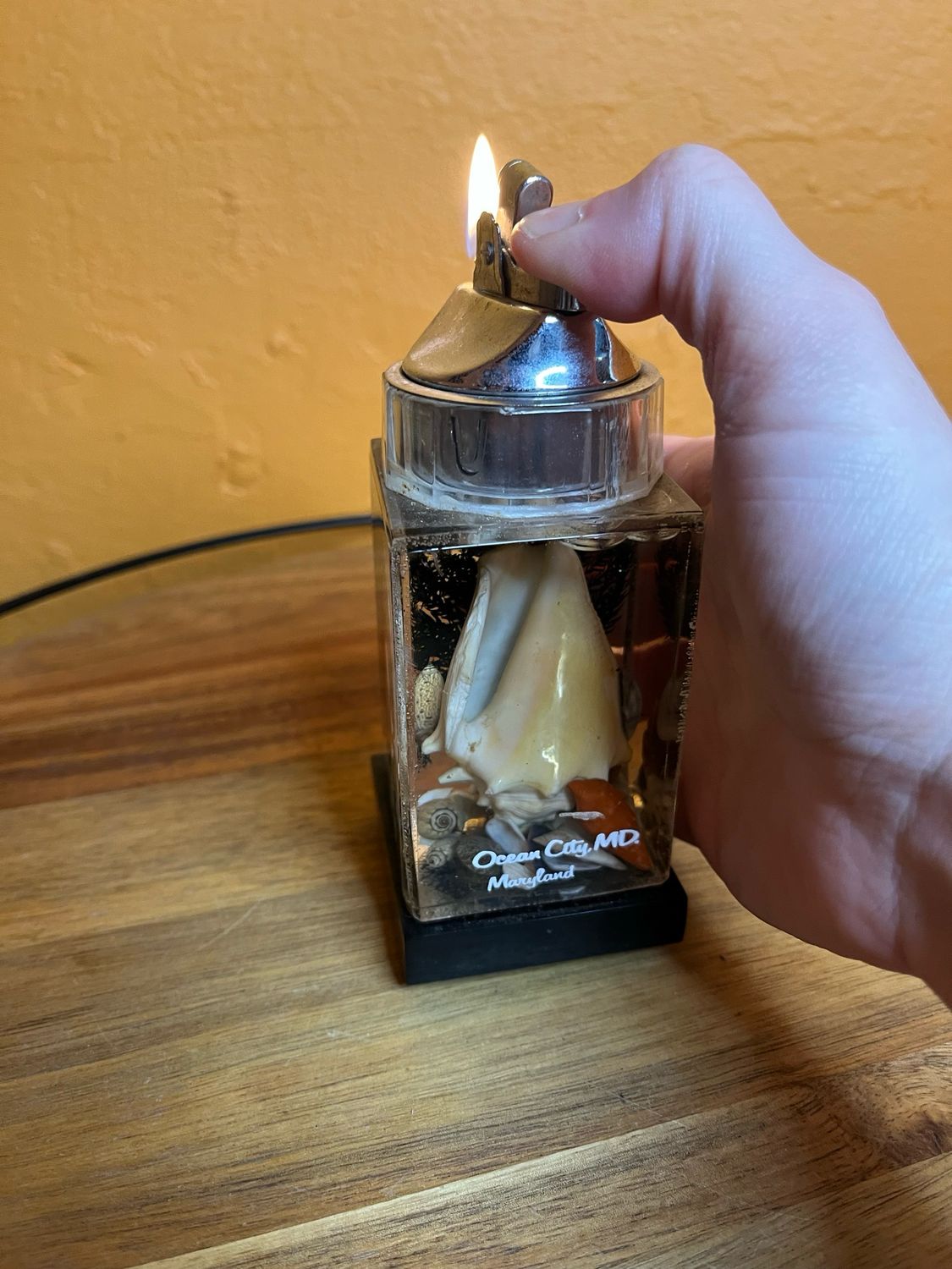 Ocean City MD Sea Shell Aquarium Table Lighter