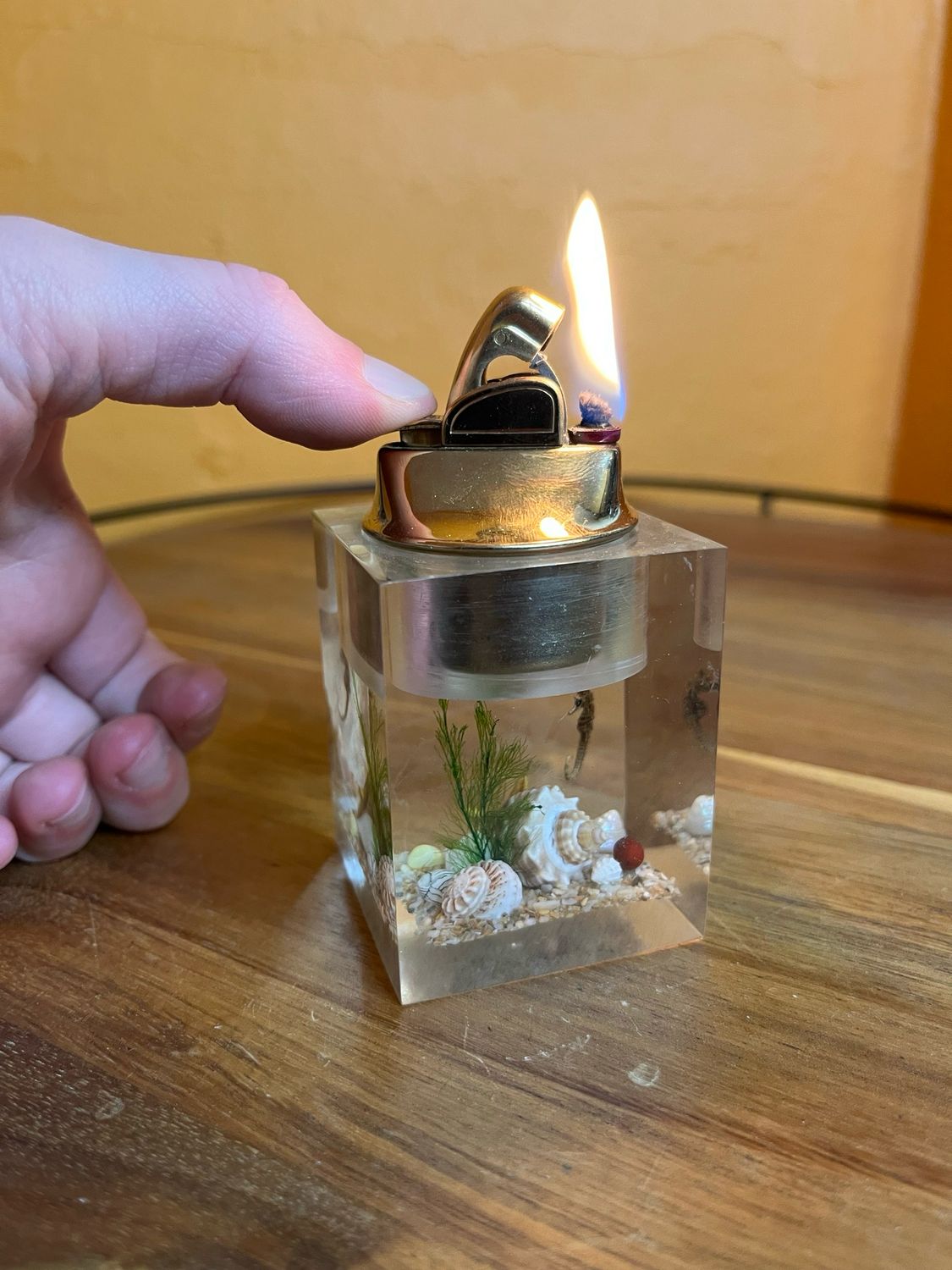 Clearfloat Sea Life Diarama Lucite Table Lighter